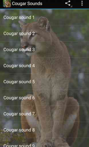 Cougar Sounds 1