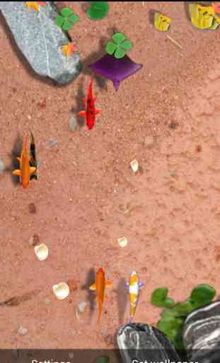 Fishes Live Wallpaper 1