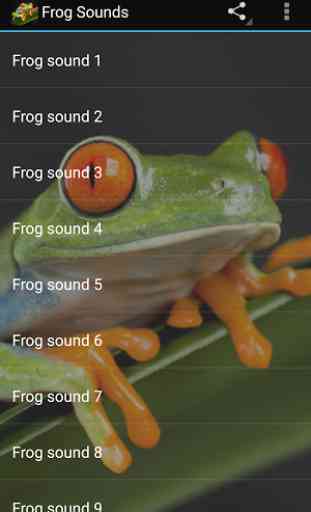Frog Sounds 1