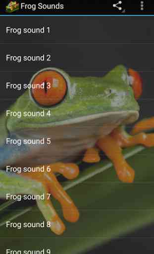 Frog Sounds 2