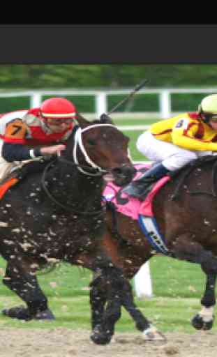 Horse Racing 2