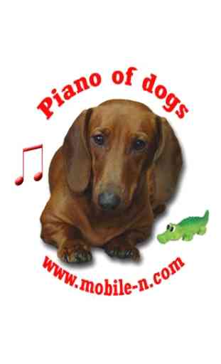 Piano de chiens 1