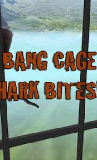 Shark Cage Dive 3D 3