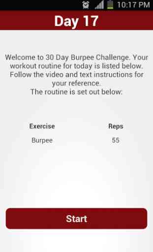 30 Day Burpee Challenge 4