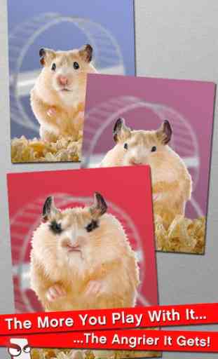 Angry Hamster Free! 1