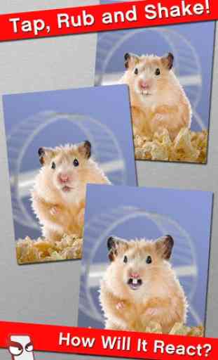 Angry Hamster Free! 2