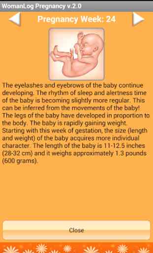 Calendrier WomanLog Pregnancy 3
