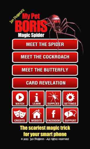Magic Spider 2