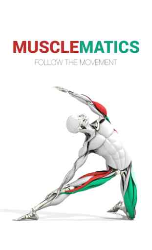 MuscleMatics 1