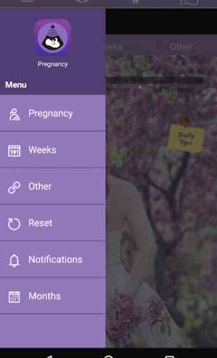 Pregnancy Tracker 3