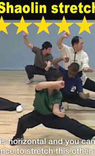 Shaolin Kung Fu 3