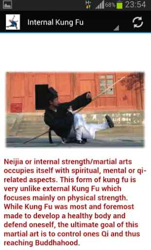Shaolin Kung fu 3