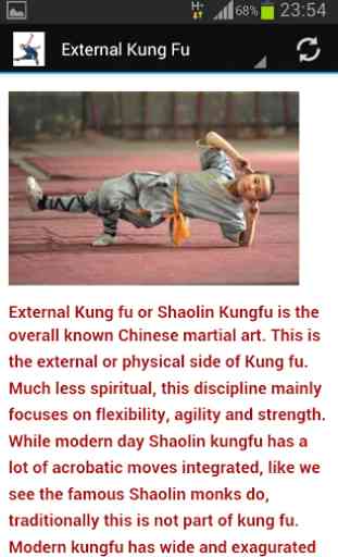 Shaolin Kung fu 4