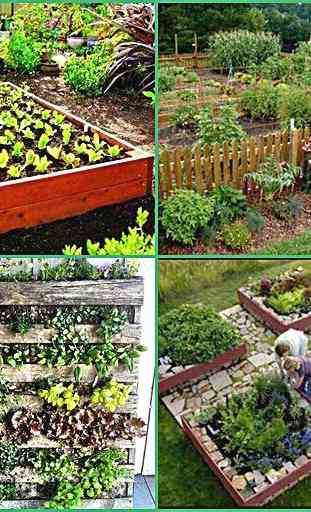 Vegetable Garden Project 1