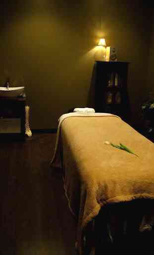 Vibrate Massager Body Free 2.0 4