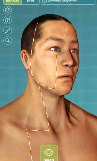 Visual Acupuncture 3D - Human 3