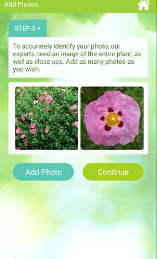 GardenAnswers Plant Identifier 4