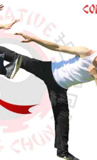 Jeet Kune Do - Wing Chun & JKD 2