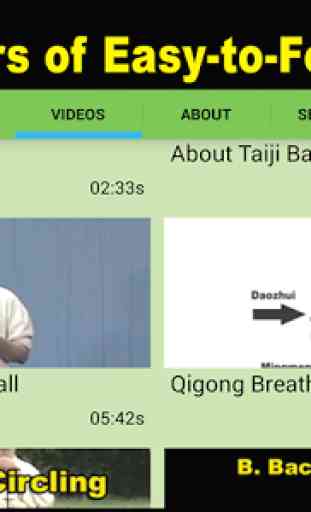 Tai Chi Boule Qigong (Dr Yang) 2