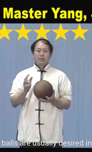 Tai Chi Boule Qigong (Dr Yang) 3