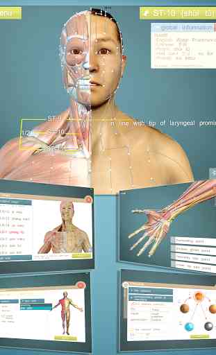 Total Acupuncture 3D 1