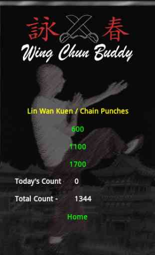 Wing Chun Buddy 2