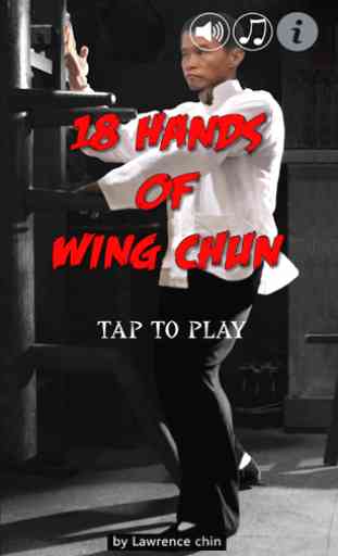 Wing Chun Hands 1