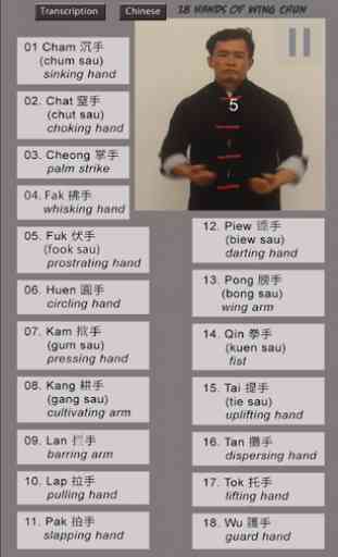 Wing Chun Hands 2