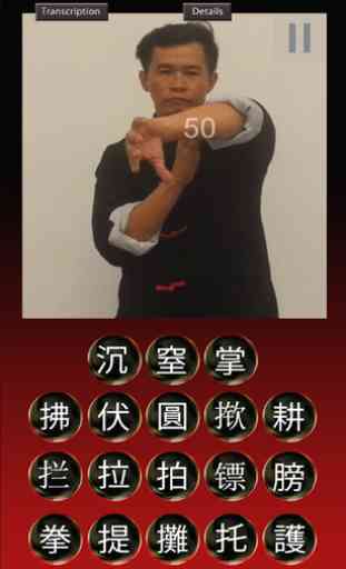 Wing Chun Hands 3