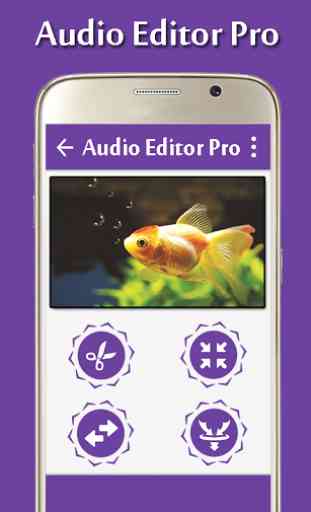 Audio Editor Pro 4