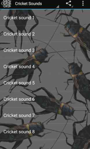Cricket Sounds 1