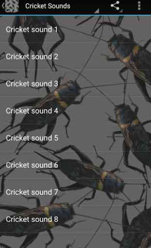 Cricket Sounds 2