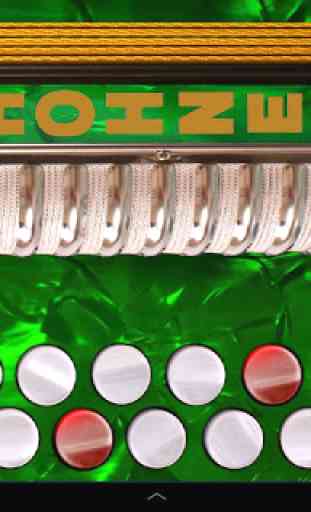 Hohner C#/D Button Accordion 1