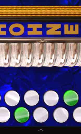 Hohner D/G Button Accordion 1