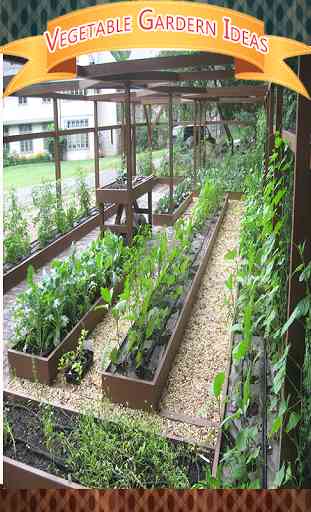 Idées jardin potager 1