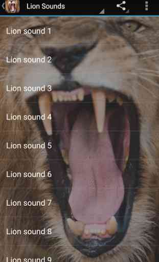 Lion Sounds 2