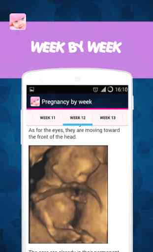 Fetal Pregnancy app 2