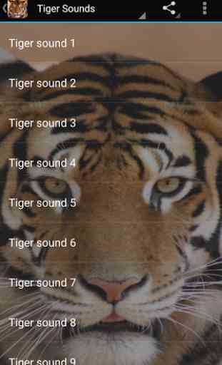 Tiger Sounds 1