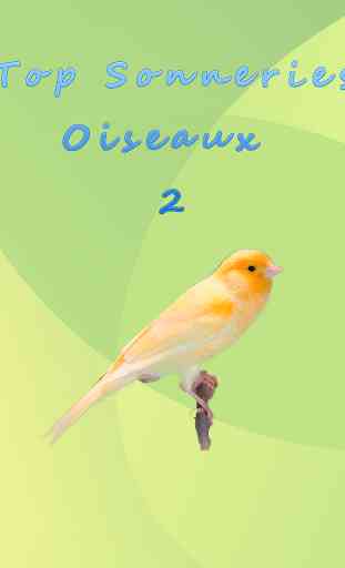 Top Sonneries Oiseaux 2 1