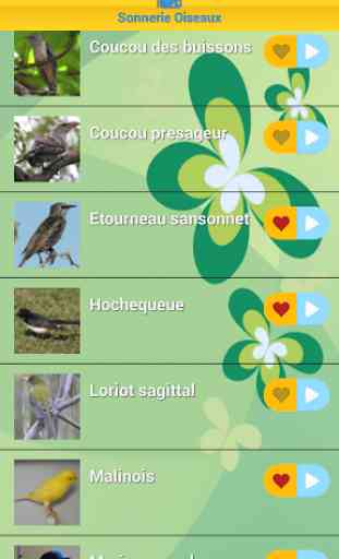 Top Sonneries Oiseaux 2 3