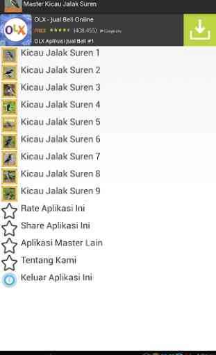 Master Kicau Jalak Suren 3