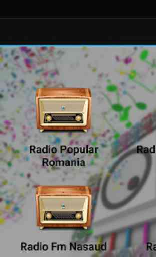 Radio Muzica Etno Romania 4