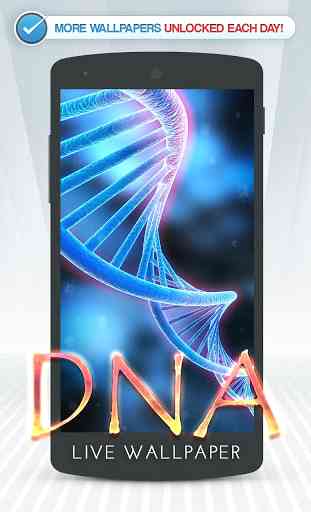 ADN Fond Animé 1
