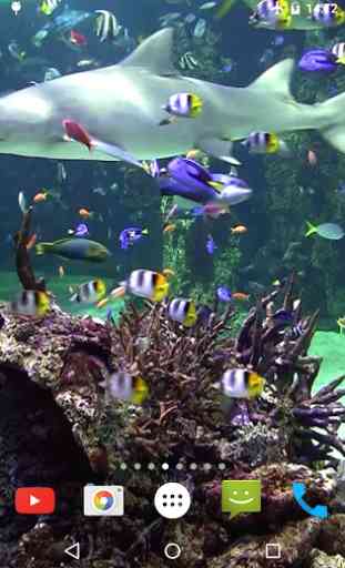 Aquarium 4K Fond d'écran animé 4