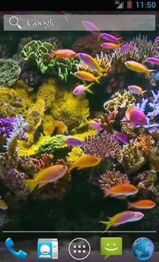 Aquarium Video Live Wallpaper 4