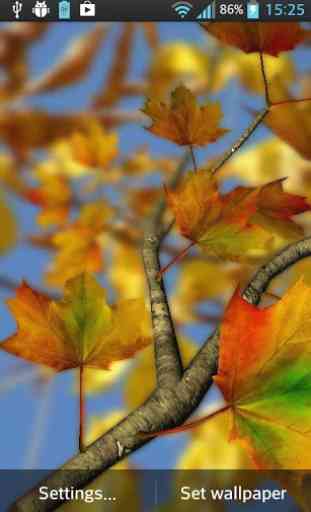 Autumn Leaves in HD Gyro 3D XL 4