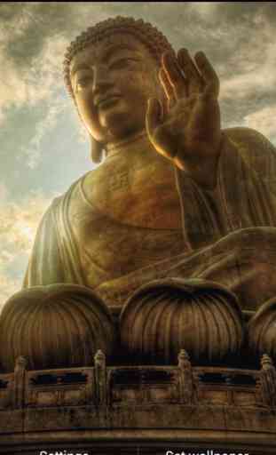 Bouddha Fond Animé 1