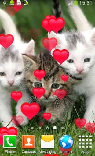 chats mignons Live Wallpapers 2