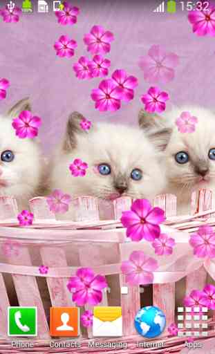 chats mignons Live Wallpapers 3