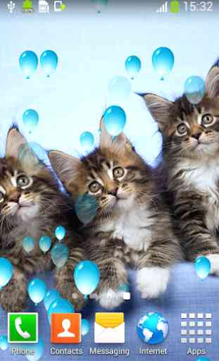 chats mignons Live Wallpapers 4